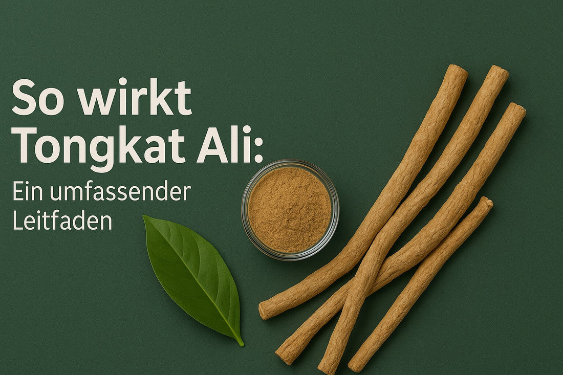 So wirkt Tongkat Ali