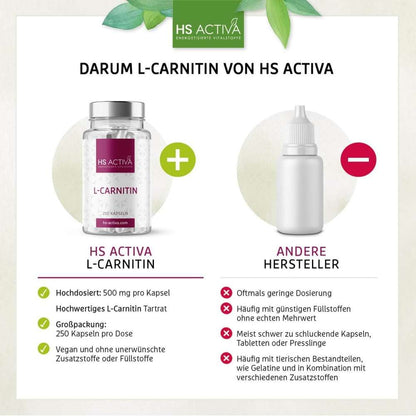 Darum L Carnitin Kapseln von HS Activa