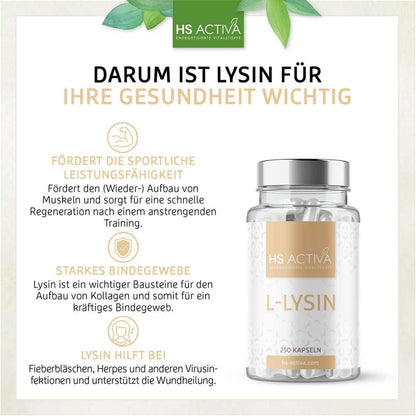 Darum ist L-Lysin Monohydrochlorid für Ihre Gesundheit wichtig