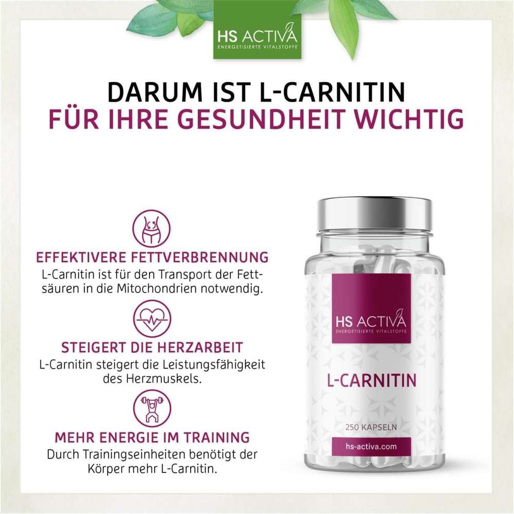 Darum sind L-Carnitin Kapseln für die Gesundheit so wichtig