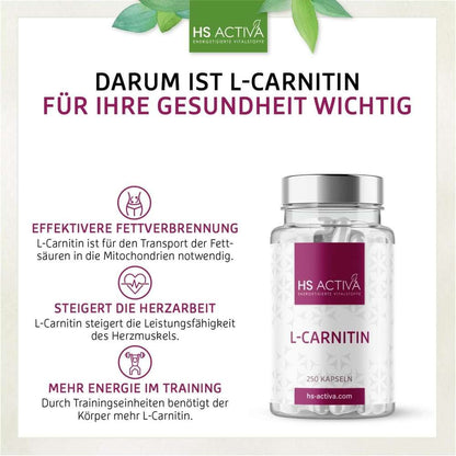 Darum sind L-Carnitin Kapseln für die Gesundheit so wichtig