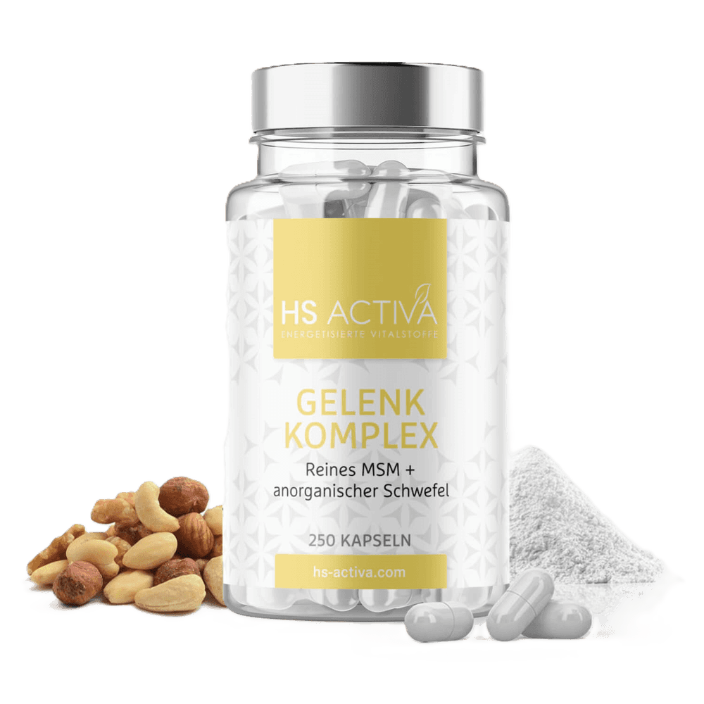 Product shot of HS Activa Gelenk Komplex 250 capsules with cashews, hazelnuts, and walnuts alongside a pile of white powder and two gray capsules featuring a pale yellow label and a silver cap
