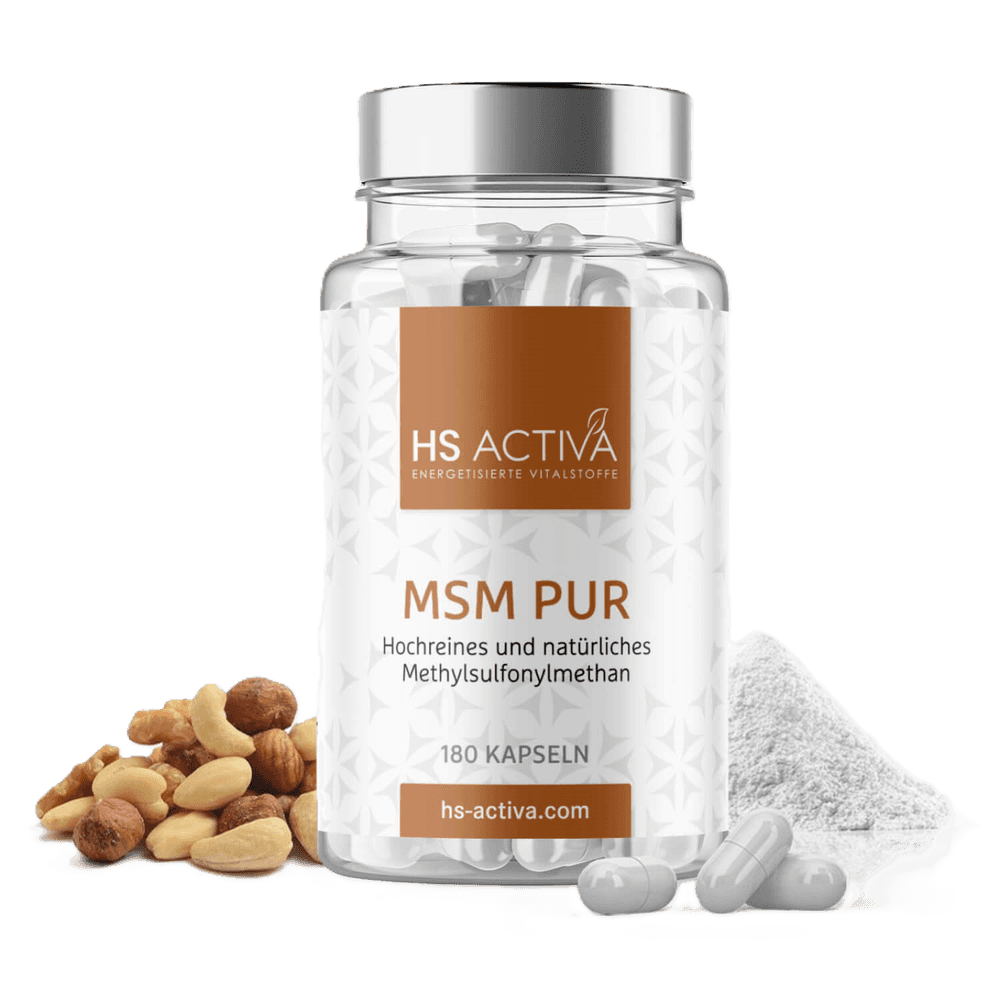 Product shot of HS Activa MSM Pur capsules with cashews hazelnuts and walnuts against a white background showing a bottle of 180 capsules and a pile of white powder
