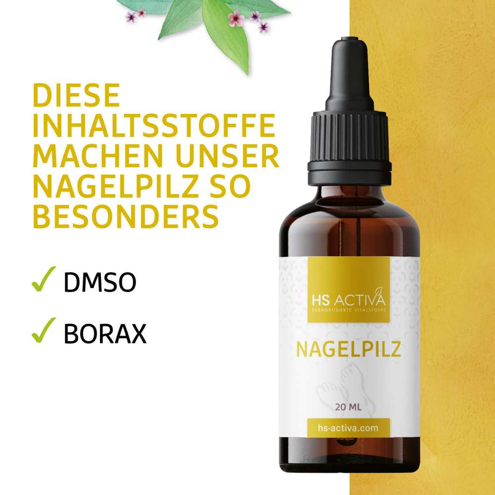 Product shot of HS Activa Nagelpilz 20ml bottle featuring a dark amber glass bottle with a black dropper, a white label with green leaf accents, and the words Nagelpilz and hs-activacom
