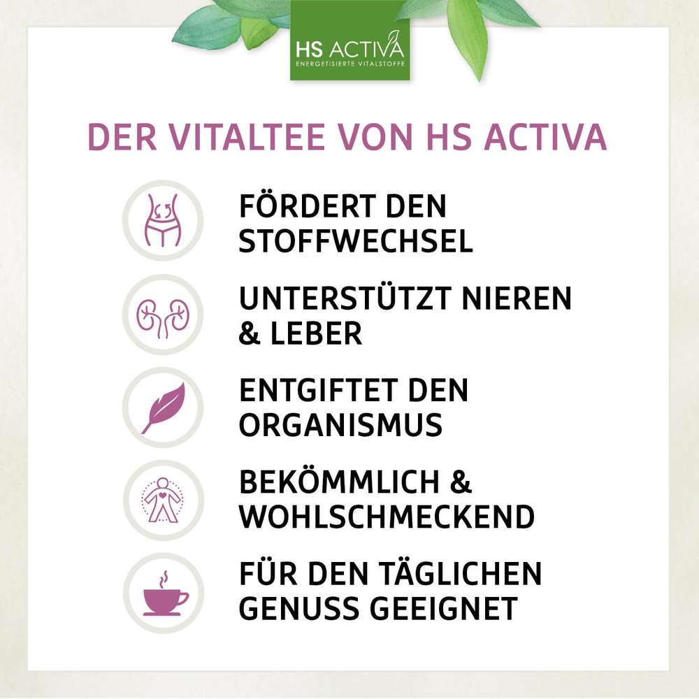VitalKräuter-Tee - VitalKräutertee kaufen | 20 Heilkräuter mit Vorteilen für Stoffwechsel, Leber und tägliches Wohlbefinden, ohne Zusatzstoffe.