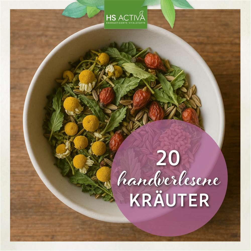 VitalKräuter-Tee - VitalKräutertee kaufen | 20 Heilkräuter in handverlesener Bio-Qualität, sichtbar in einer Schale angerichtet.