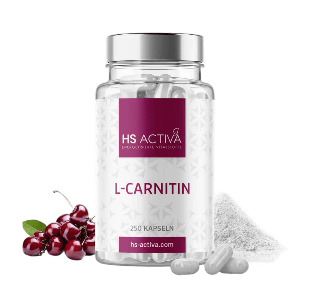 L-Carnitin kaufen - HS Activa Kapseln Produktfoto