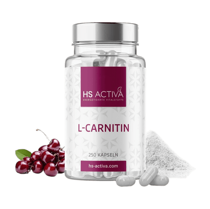 L-Carnitin kaufen - HS Activa Kapseln Produktfoto