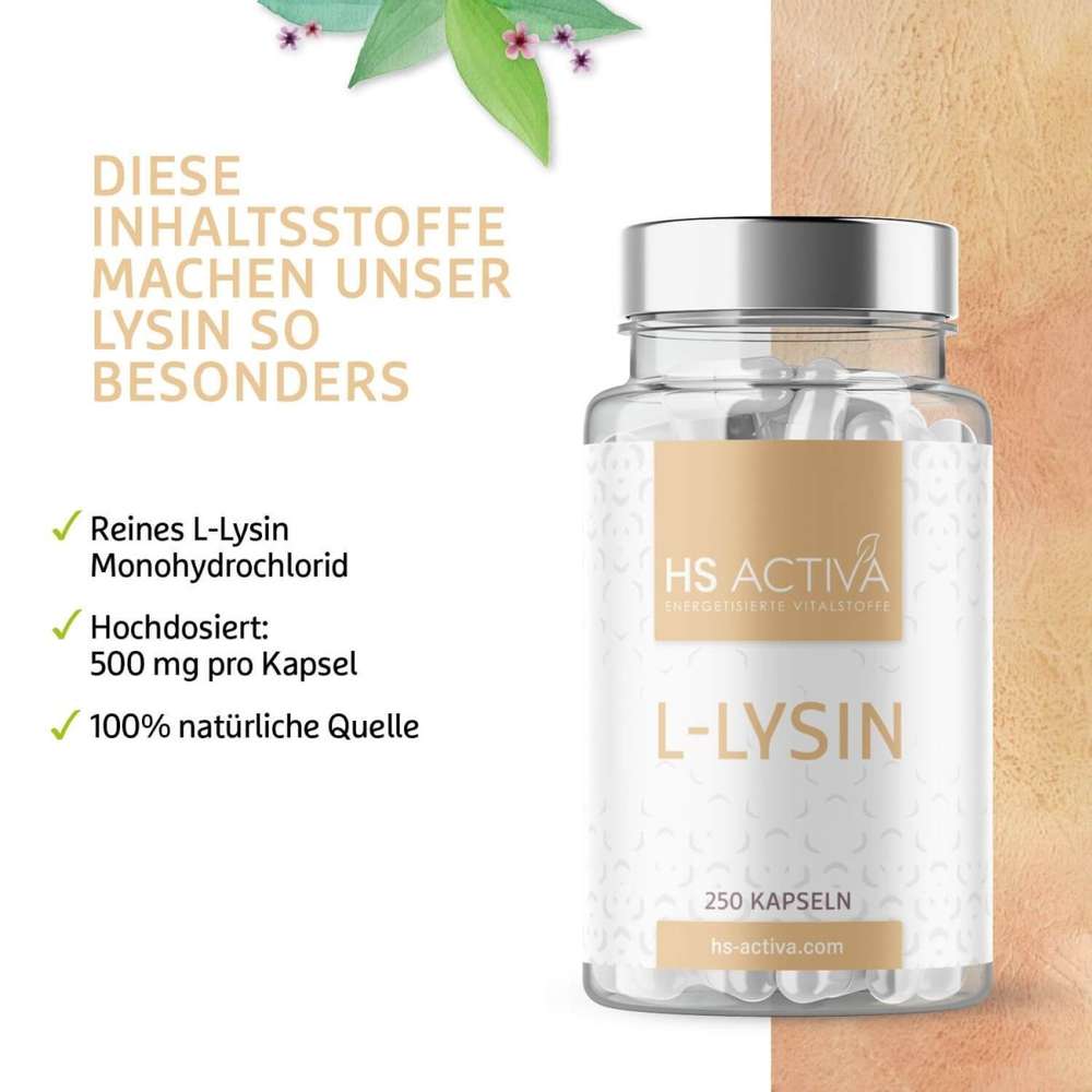 L-Lysin Hydrochlorid Inhaltsstoffe von HS Activa
