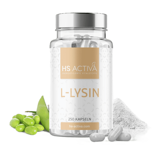 L-Lysin Monohydrochlorid Kapseln Packung HS Activa