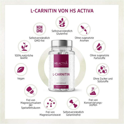 L Carnitin 500 mg Kapseln und ihre Vorteile