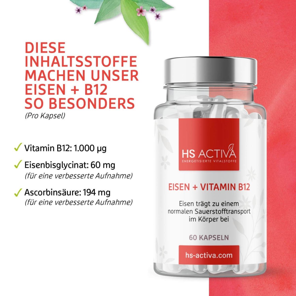 Eisen + Vitamin B12 - HS Activa