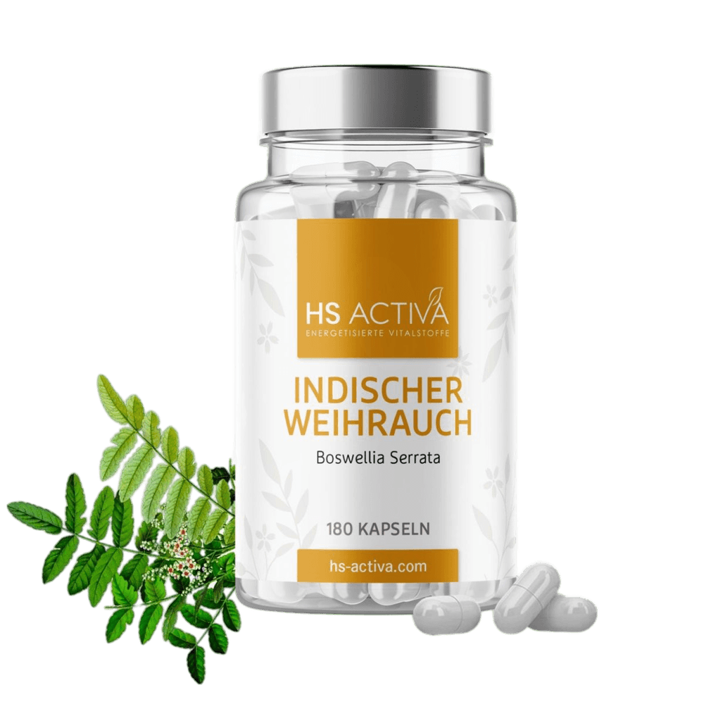 Indischer Weihrauch, Boswellia Serrata, 180 Kapseln