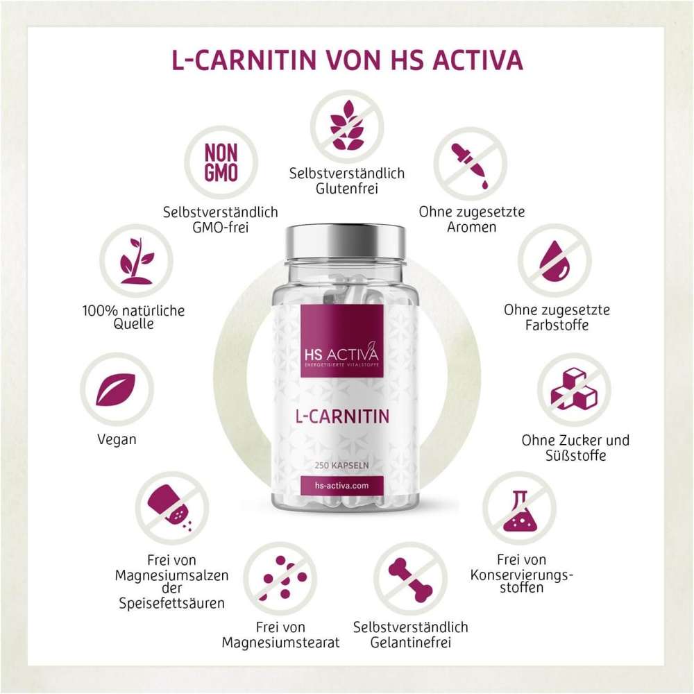 L-Carnitin (Großpackung: 250 Kapseln) - HS Activa