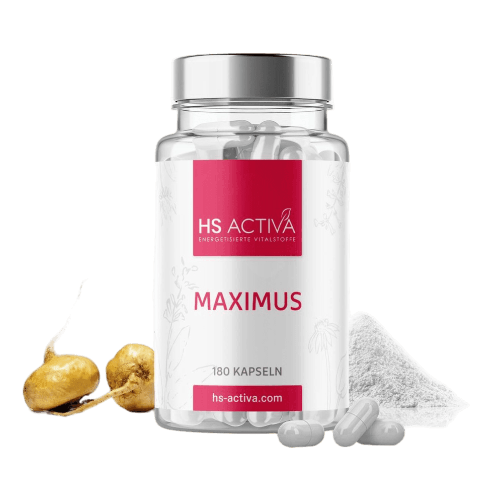 Maximus | Natürliches Potenzmittel (Ohne Chemie) | Libido nachhaltig steigern - HS Activa