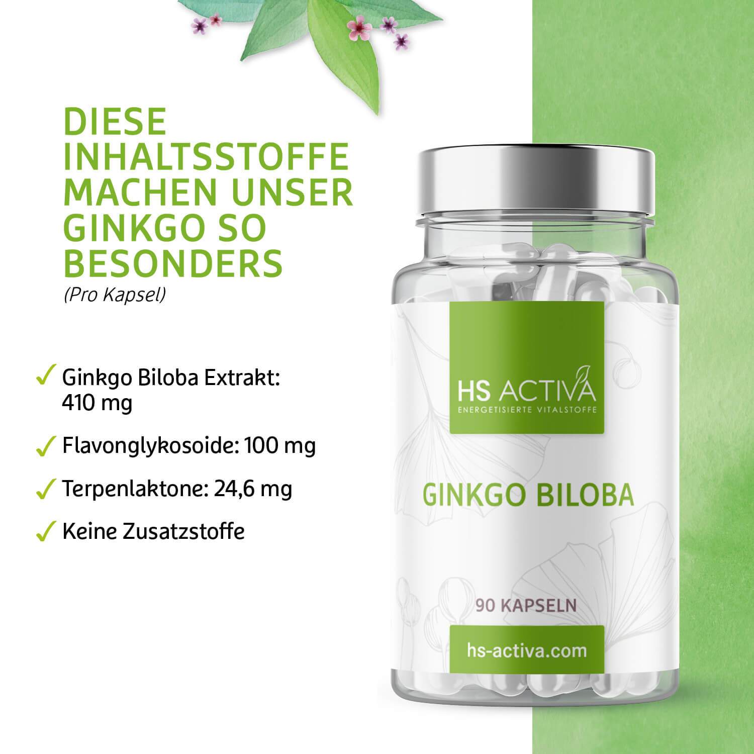 Ginkgo Biloba I 410 mg reines Ginkgo Extrakt 50:1 pro Kapsel I Hochdosiert: 20.500 mg Ginkgo Biloba I 90 vegane Kapseln - HS Activa