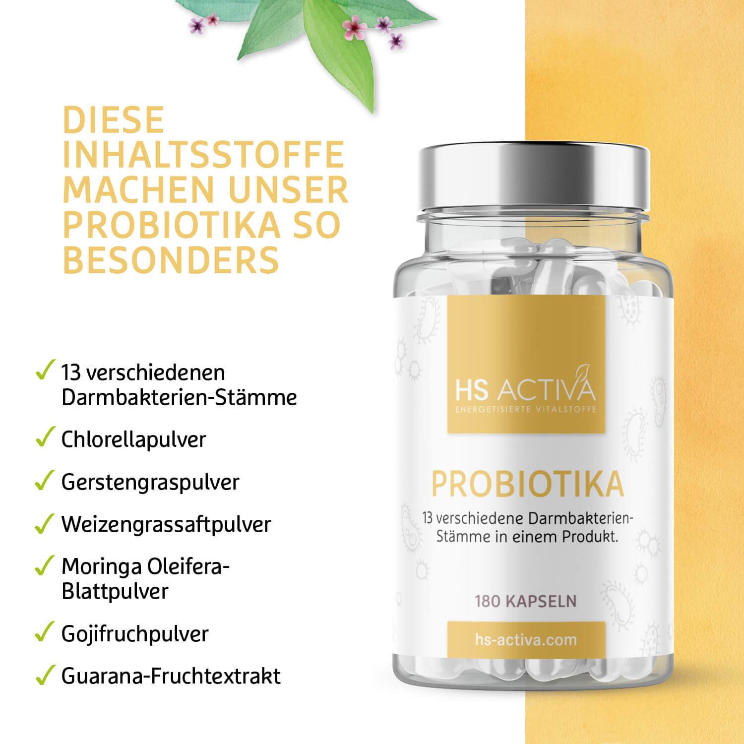 Probiotika - Darmaufbau und Darmsanierung - (180 Kapseln) - HS Activa